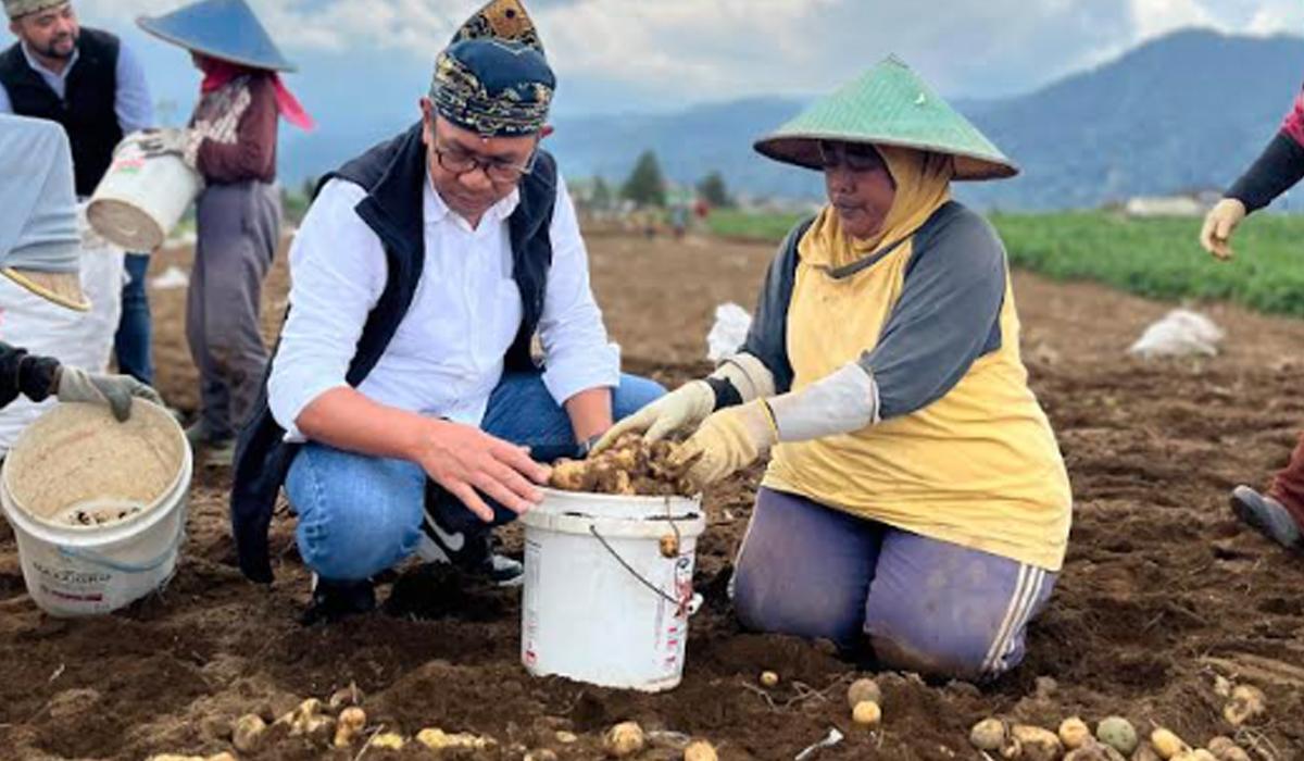 Bentuk CooSAE Jadi Induk Koperasi Merah Putih, Pemkot Batu: Bikin Ekosistem Pertanian Terintegrasi