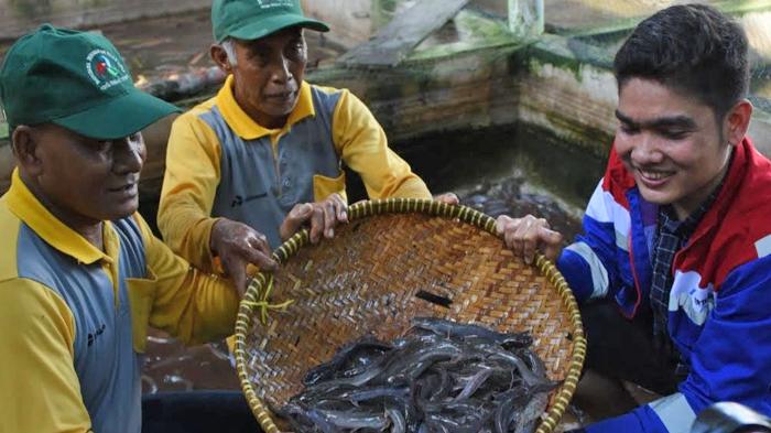 Kilang Pertamina Internasional Unit Dumai Genjot Ekonomi Pesisir Lewat Program Bedelau Minapolitan
