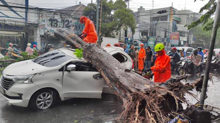 2 Mobil Tertimpa Pohon dan Belasan Rumah Rusak Tersapu Angin Kencang di Sidoarjo
