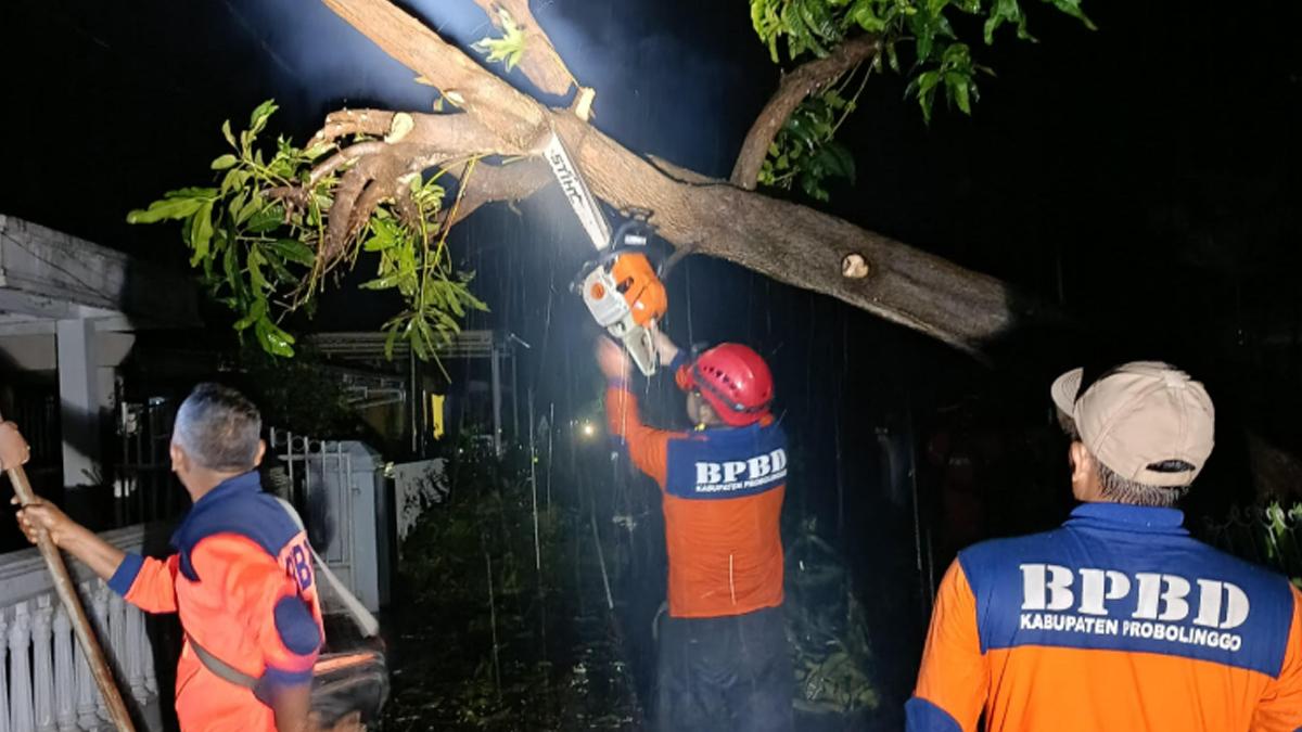 POHON-TUMBANG-Anggota-BPBD-Kabupaten-Probolinggo-bersama-pihak-terkait.jpg