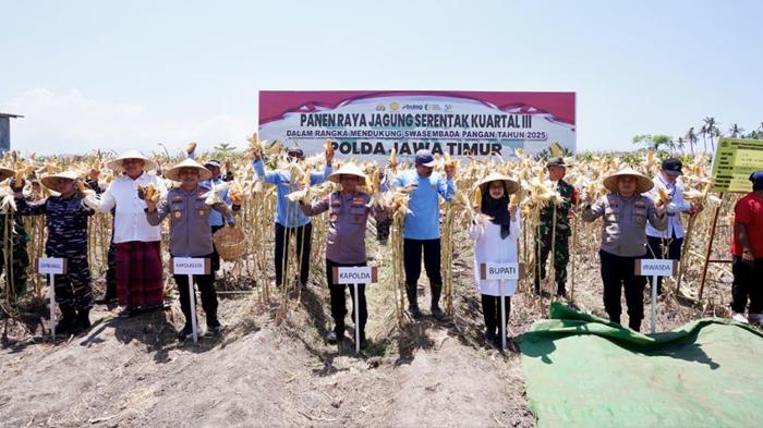 Panen-Jagung-Serentak-di-Banyuwangi.jpg