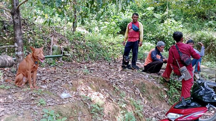 Pemdes-Karangturi-membeli-kawanan-anjing.jpg