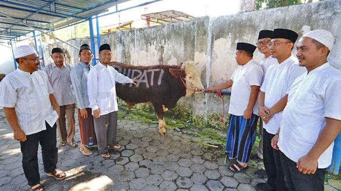 Pemkab-Banyuwangi-menyalurkan-60-hewan-kurban.jpg