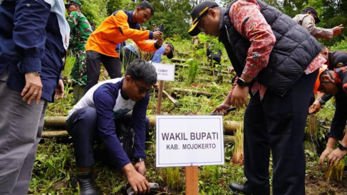 Penanaman-10000-Vetiver-menghijaukan-kembali-titik-titik-bekas-longsoran.jpg