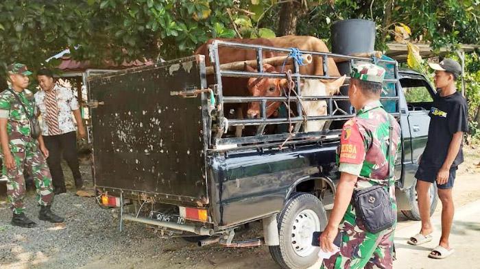 Jelang Idul Adha 2024, Disnakeswan Lakukan Pengawasan Lalu Lintas Ternak di Kabupaten Lamongan
