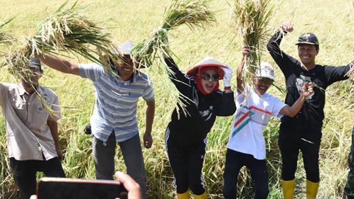 Irigasi Terhambat, Belasan Hektar Area Pertanian di Sidoarjo Nyaris Gagal Panen