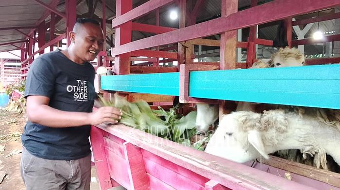 Peternak-ini-meraup-untung-Rp-19-juta-perbulan.jpg