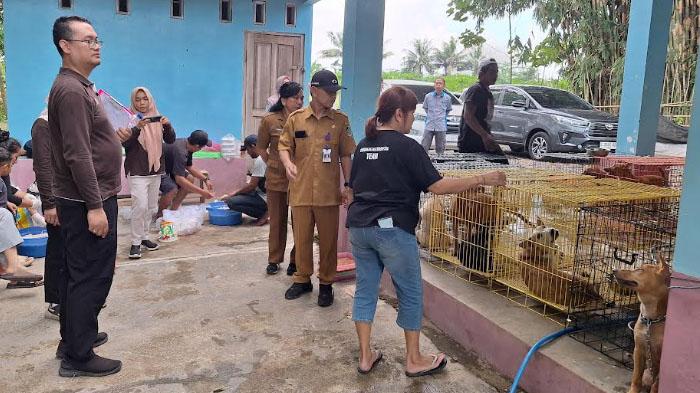 Petugas-Dinas-Pertanian-dan-Pangan-Banyuwangi-mengecek-kondisi-anjing-anjing.jpg