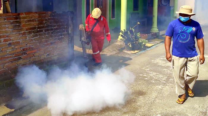 Kasus DBD di Kota Blitar Melonjak, Puskesmas Lakukan Fogging di Kelurahan Gedog