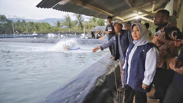 Pemkab Trenggalek Tutup 9,5 Hektare Tambak Udang, Disebut Mencemari Lingkungan