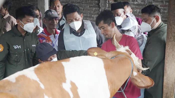 Kasus PMK di Sidoarjo Makin Menyebar ke 10 Kecamatan