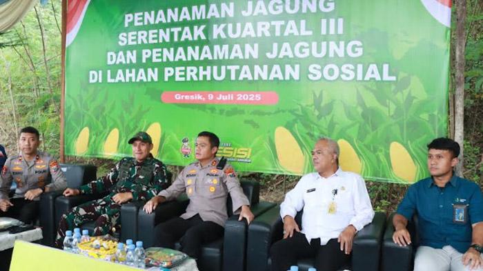 Lanjutkan Kemandirian Pangan Masyarakat, Polres Gresik Terlibat Langsung Tanam Jagung Kuartal III