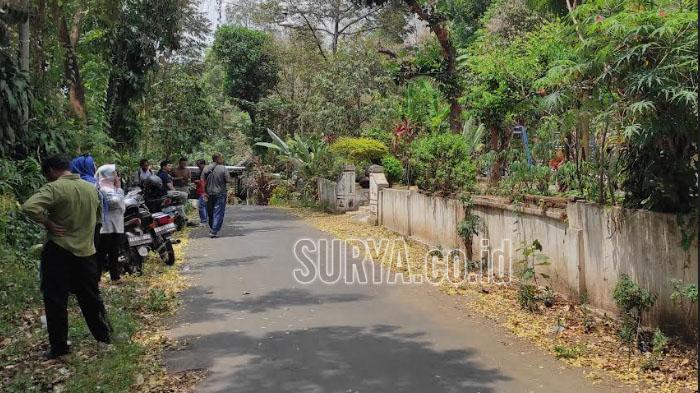 Puluhan Ekor Monyet Muncul di Permukiman, Bikin Resah Warga Lereng Gunung Pegat Blitar