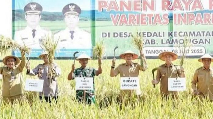 Produksi-padi-di-Lamongan-masih-yang-tertinggi-di-Jawa-Timur-Selasa-872025.jpg