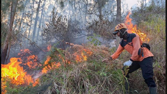 Puluhan Hektar Hutan dan Lahan di Gunung Panderman Terbakar, Api Masih Belum Padam
