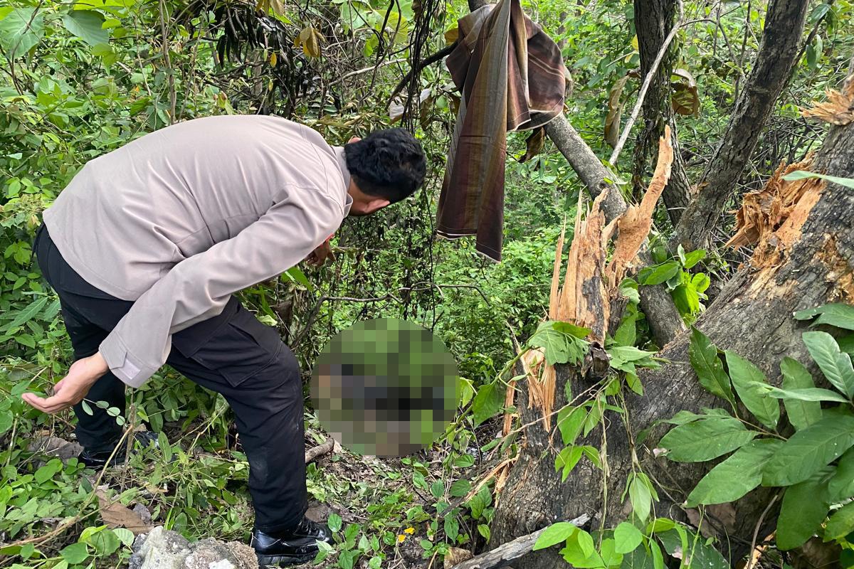 Remaja-di-Bojonegoro-Tewas-Terpanggang-Usai-Motor-CB-Masuk-Jurang-dan-Terbakar.jpg