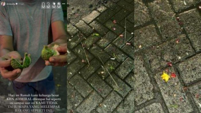 Rumah-Ken-Admiral-diteror-OTK-Pelaku-melempar-sejumlah-benda-seperti-kembang-dan-jarum.jpg
