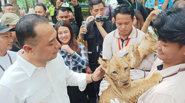 Belum Dapat yang Pas, Pemkot Surabaya Kembali Buka Seleksi Direktur KBS Gelombang Ketiga