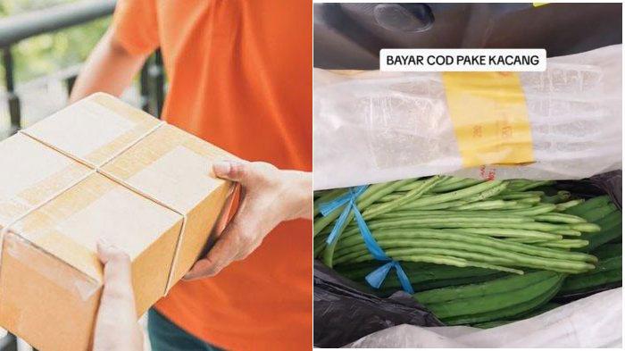 SOSOK Kurir Baik Hati yang Viral Antar Paket COD Dibayar Pakai Kacang Panjang, Ini Kronologinya