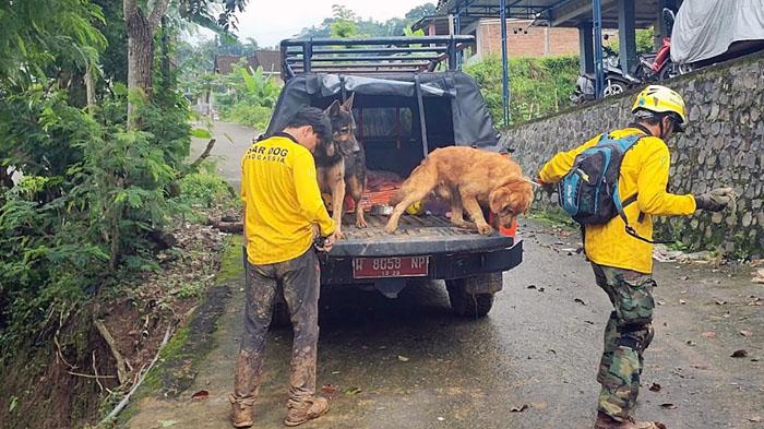 Temuan Anjing Pelacak di Lokasi 6 Orang Hilang Korban Tanah Longsor Trenggalek