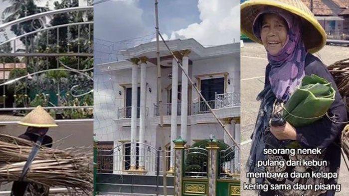 Sosok-Nenek-Berbaju-Lusuh-Tiap-Hari-Gendong-Daun-Kering-Ternyata-Sultan-Kampung-Rumahnya-Mewah.jpg