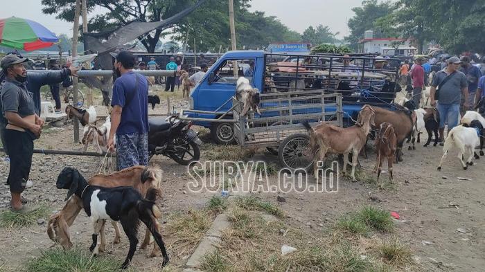 Suasana-di-Pasar-Hewan-Dimoro-Kota-Blitar-Jumat-2452024.jpg