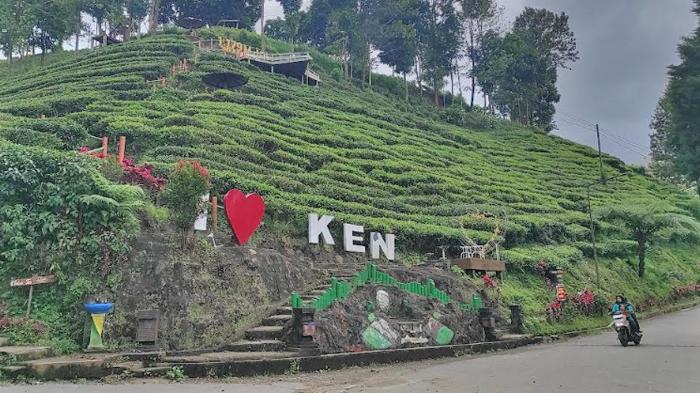 Tren Pengunjung Naik, Pengelola Kebun Teh Sirah Kencong Kab Blitar Siapkan Tambahan Spot Wisata