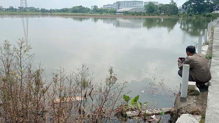 Sawah Terendam Banjir, Petani di Ploso Jombang Waswas Soal Ancaman Gagal Panen