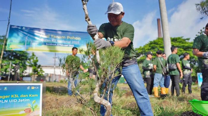 Bulan K3 2025, PLN UID Jatim Gelar Aksi Tanam Pohon dan Sosialisasi Keselamatan Kerja di Surabaya