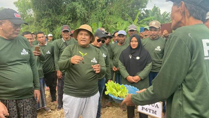 Tanam Tembakau Kastore Pote di Pamekasan, Petani Punya Harapan Kembalikan Kejayaan Tembakau Madura