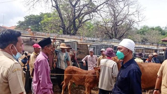 Gara-Gara Takut PMK, Semua Sapi di Pamekasan Diperiksa; Petugas Pantau Lalu Lintas Penjualan Ternak