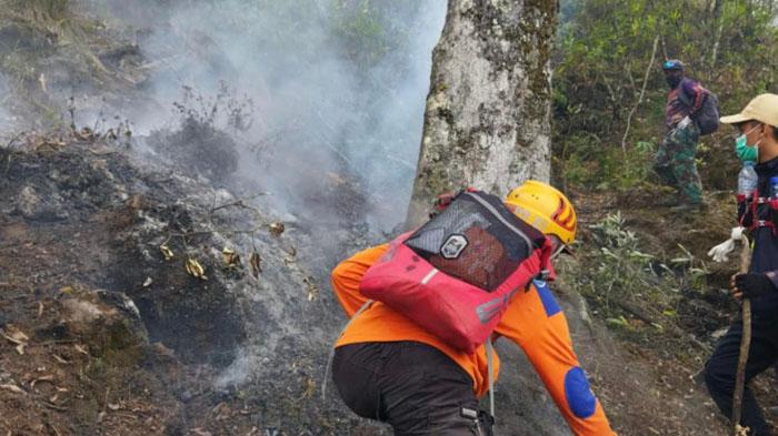 UPDATE Kebakaran Hutan Gunung Arjuno di Wilayah Kota Batu, Tim Gabungan Dikerahkan