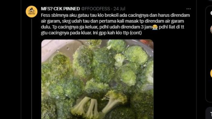 Viral Warganet Rendam Brokoli Pakai Air Garam untuk Hilangkan Cacing, Begini Penjelasan Pakar