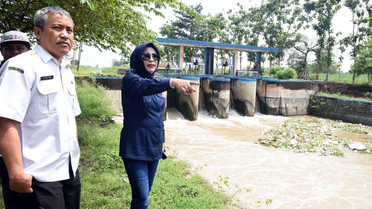 Wabup-Sidoarjo-Mimik-Idayana-pantau-pengerukan-Sungai-Porong-Kanal.jpg