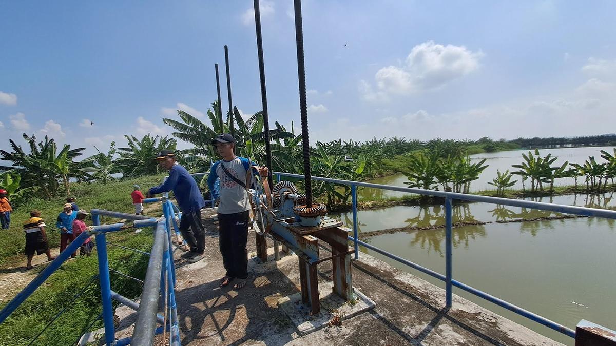 Pemkab Tuban Larang Petani Kelola Lahan Proyek Waduk Jabung Ring Dyke - Surya.co.id