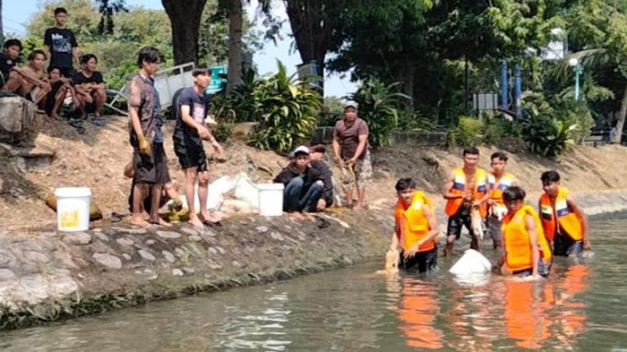 Masih Ada Warga Surabaya Jorok, Cuci Jeroan Sekaligus Buang Kotoran Hewan Kurban di Sungai