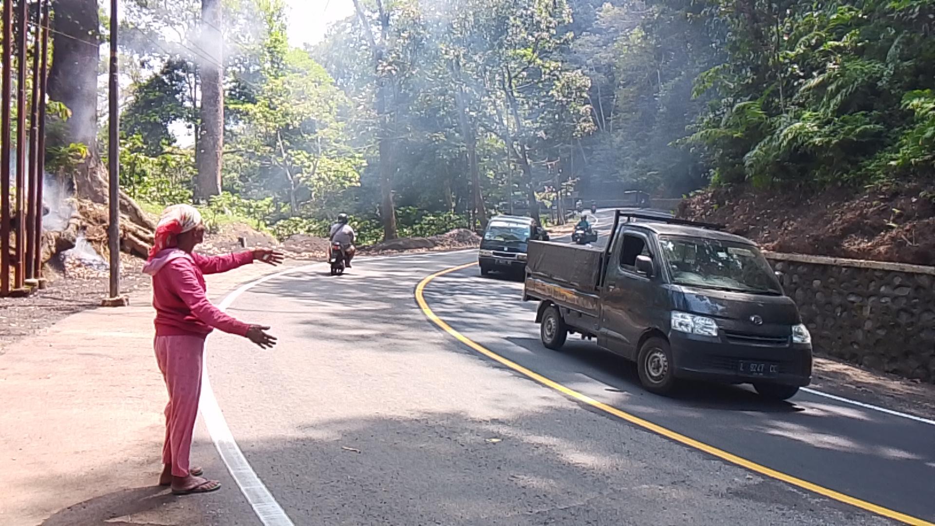 Sosok  'Awe-Awe' Kembali Beraksi di Hari Pertama Jalur Gumitir Jember Dibuka