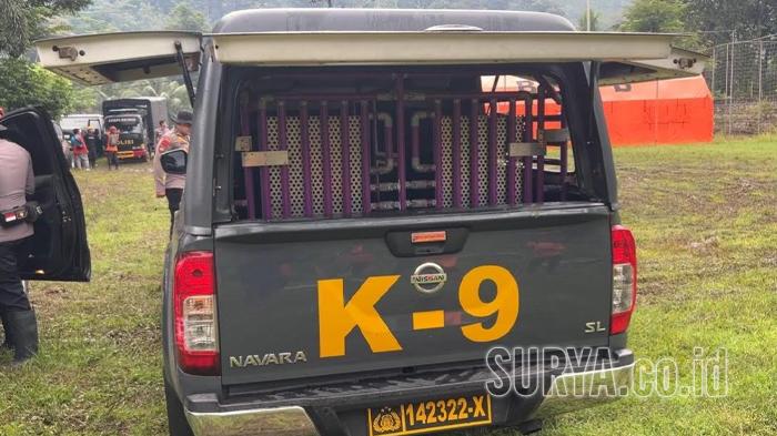 BREAKING NEWS Hari Kedua Pencarian 6 Korban Longsor Trenggalek, Anjing Pelacak Diturunkan
