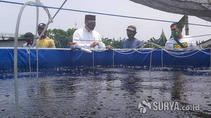 BHS Bakal Sinergikan Penguatan Budidaya Ikan dengan Program Makan Ikan Gratis di Sidoarjo