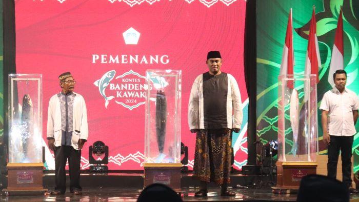 Bandeng Jumbo 13,1 Kg, Jawara Kontes Bandeng Kawak Di Gresik Ini Di Ganjar Rp 35 Juta