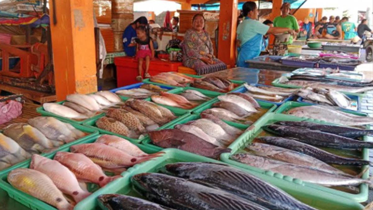 Pasokan Ikan Menyusut di Banyuwangi, Nelayan Tak Melaut Akibat Cuaca Buruk - Surya.co.id