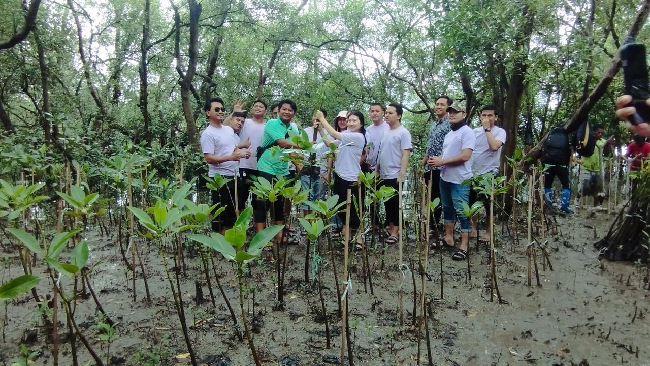 batiqa-mangrove-2026.jpg