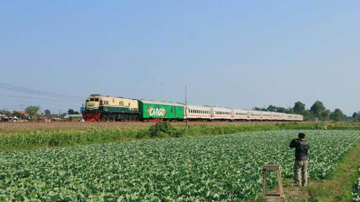 Nikmati Pesona Alam Jalur Kereta Api di Kediri, Pengalaman Visual yang Memukau