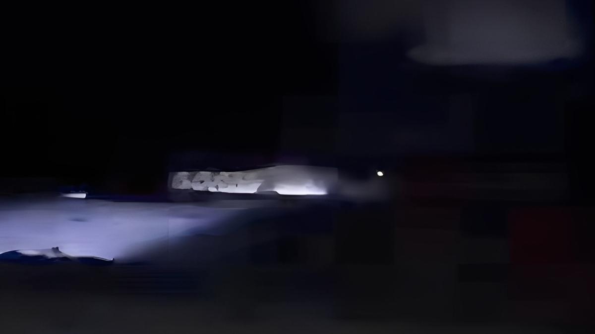 Viral Video Buaya di Pantai Watu Leter Malang, Polisi Ungkap Fakta Sebenarnya