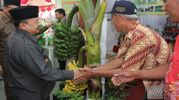 Puluhan Petani Madiun Ramaikan Pameran Gebyar Gapoktan