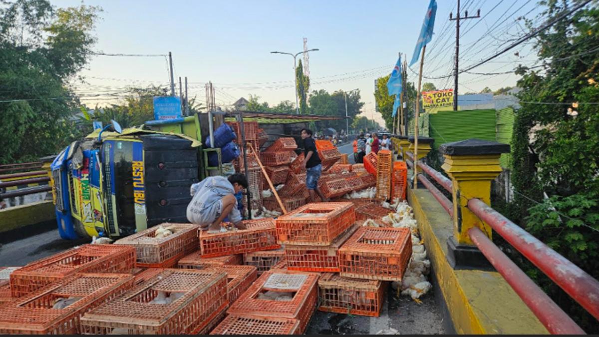 Kronologi Laka Truk Ayam dan Bus Restu Jurusan Ponorogo - Surabaya di Kota Madiun - Surya.co.id