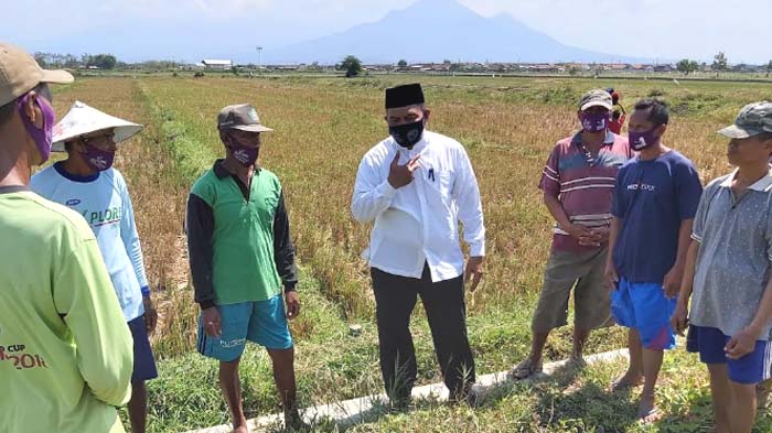 Blusukan ke Desa Kalidawir, Tanggulangin, Cabup Sidoarjo BHS Disambati Petani soal Dua Hal ini