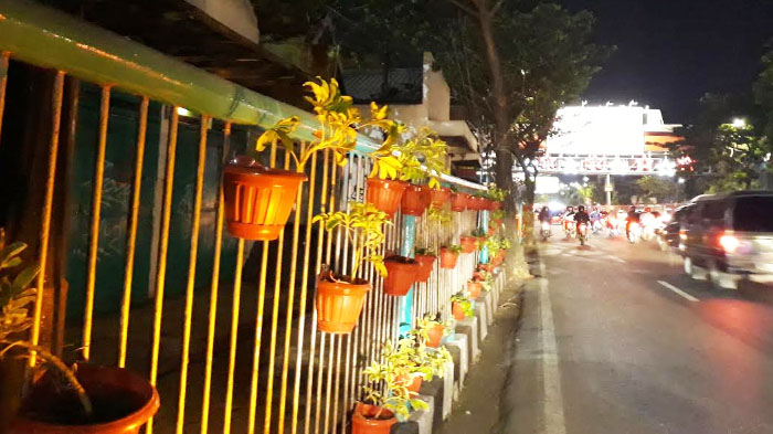 Sambut Tamu UCLG Aspac, Jalan Wonokromo Surabaya Berhias Tanaman