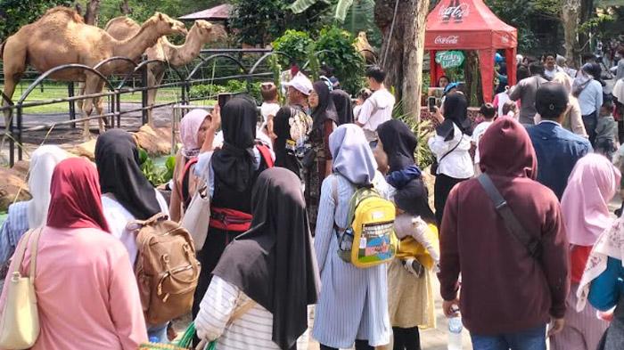 Pekan ini Penentuan Jadi Tidaknya Harga Tiket Masuk Kebun Binatang Surabaya Naik Jadi Rp25 Ribu