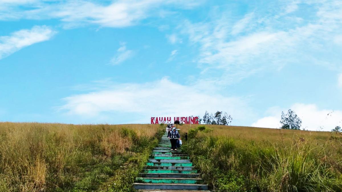 dua-objek-wisata-alam-di-Bondowoso-Kawah-Wurung-dan-Teduh-Glamping.jpg
